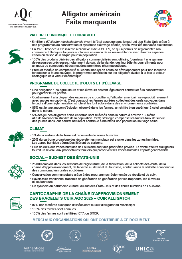 Alligator Faits Marquants